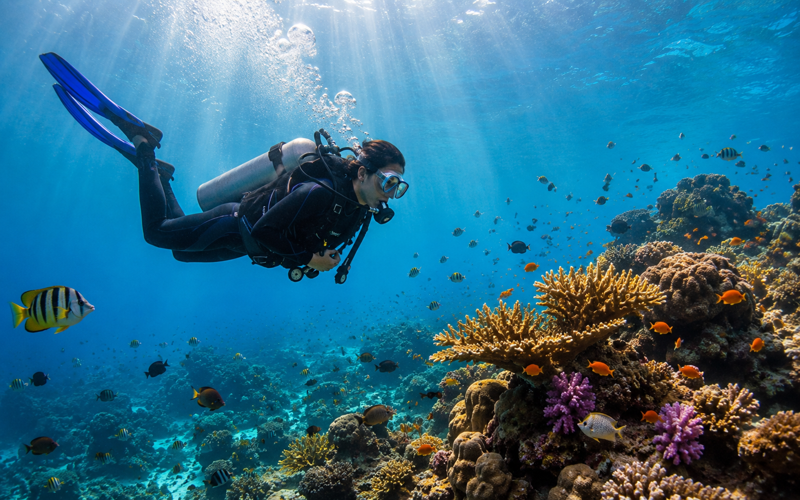 Adventure Explorer package